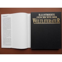 Illustrierte Geschichte der Weltliteratur (1991)