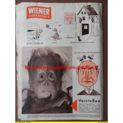 Wiener Illustrierte Nr. 7 / 10. Februar 1962 / Vivi Bach