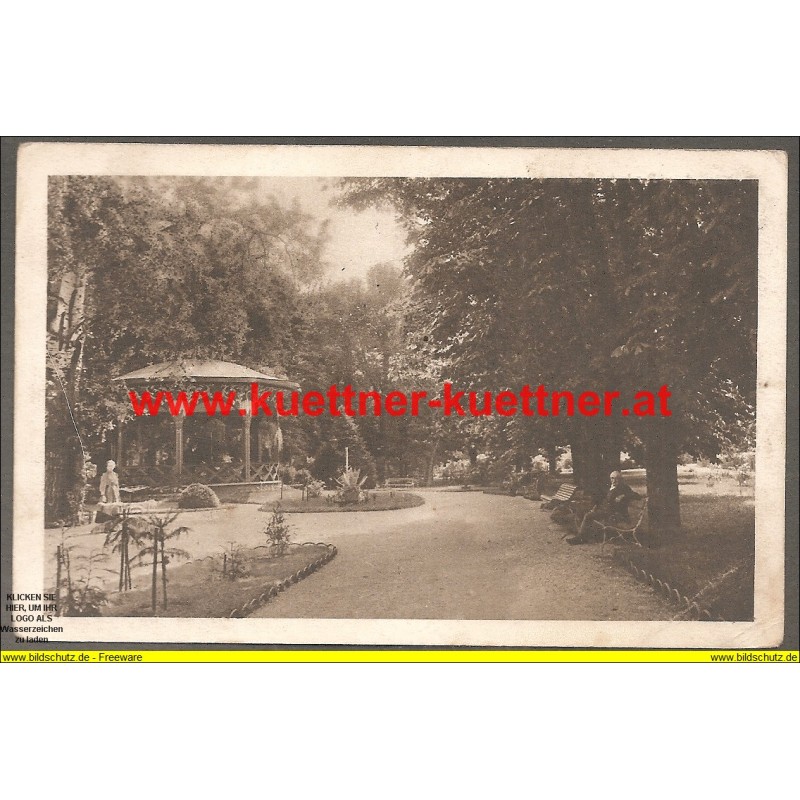 AK - Wr. Neustadt - Partie im Stadtpark - 1914