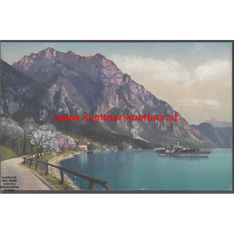 AK - Salzkammergut - Gasthof Hois´n und Traunstein